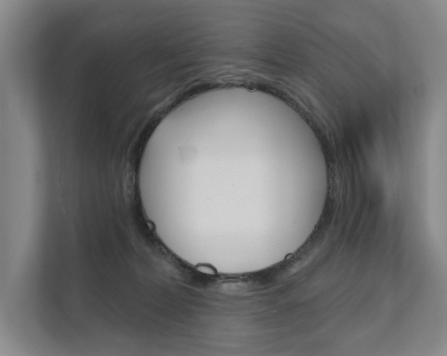 X0000111940228200907271020