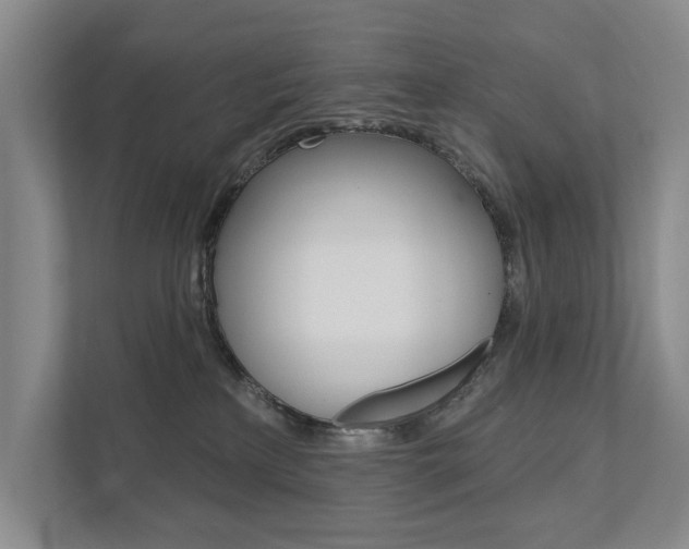 X0000111940233200907271020