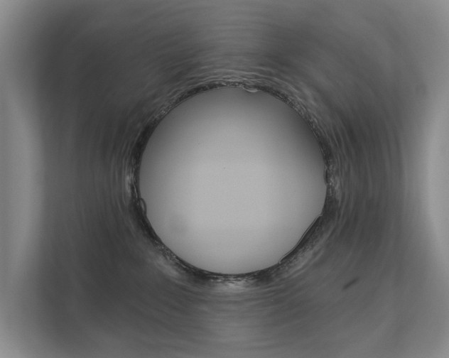 X0000111940235200907271020