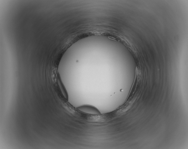 X0000111940237200907271020