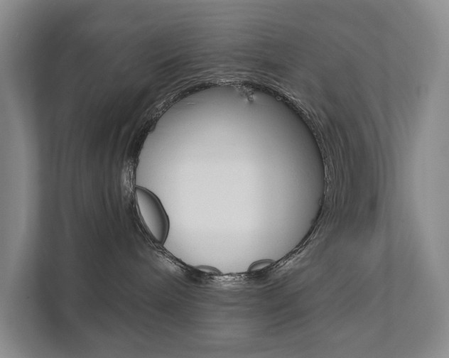 X0000111940240200907271020