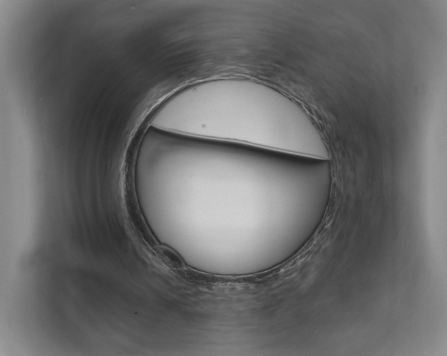 X0000111940242200907271020