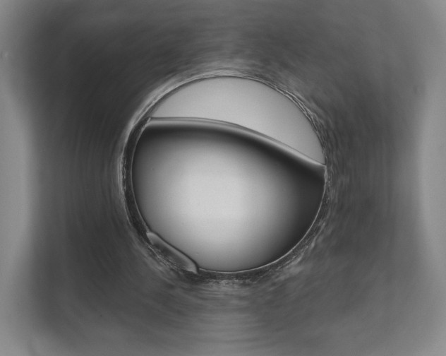 X0000111940244200907271020