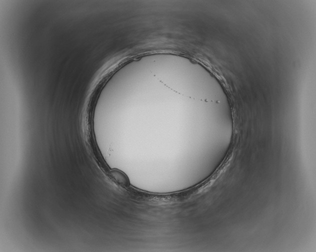 X0000111940245200907271020