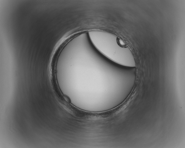 X0000111940246200907271020