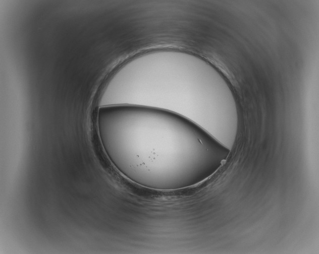 X0000111940252200907271020