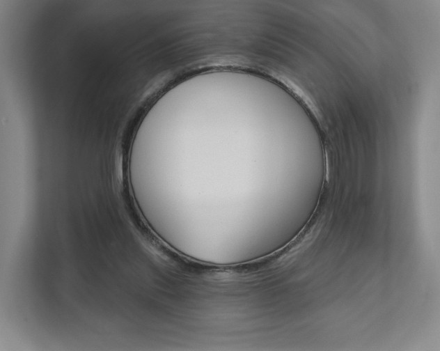 X0000111940253200907271020