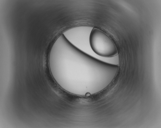X0000111940255200907271020