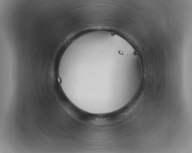 X0000111940256200907271020