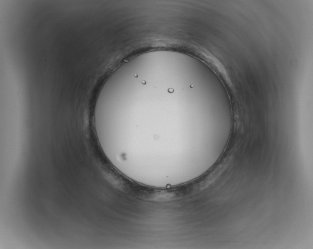 X0000111940257200907271020