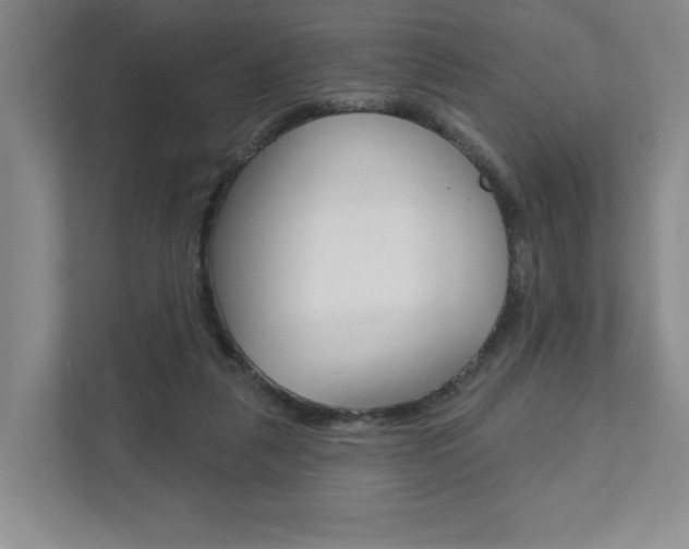 X0000111940259200907271020