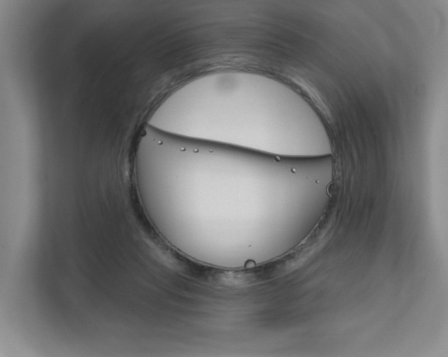 X0000111940261200907271020