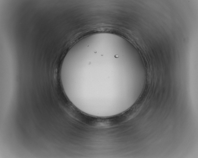 X0000111940263200907271020