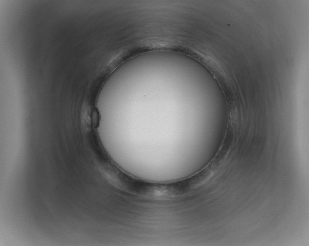 X0000111940264200907271020