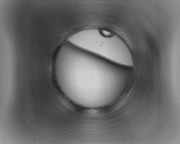 X0000111940265200907271020