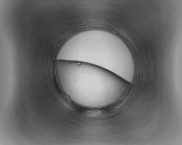 X0000111940266200907271020