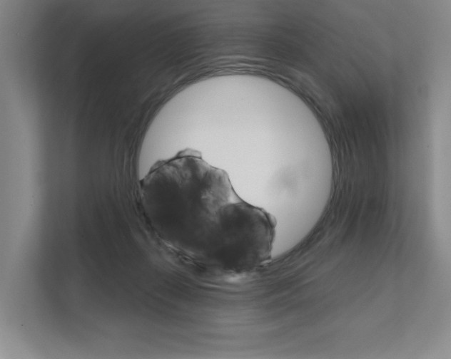 X0000111940267200907271020