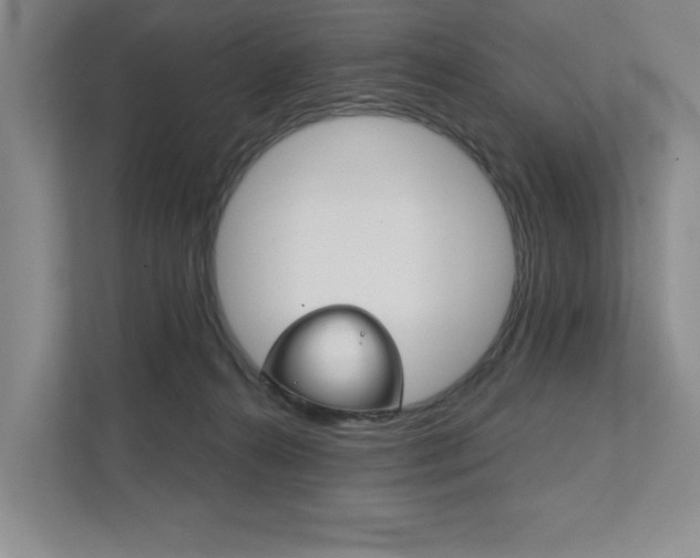 X0000111940272200907271020