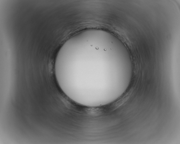 X0000111940273200907271020