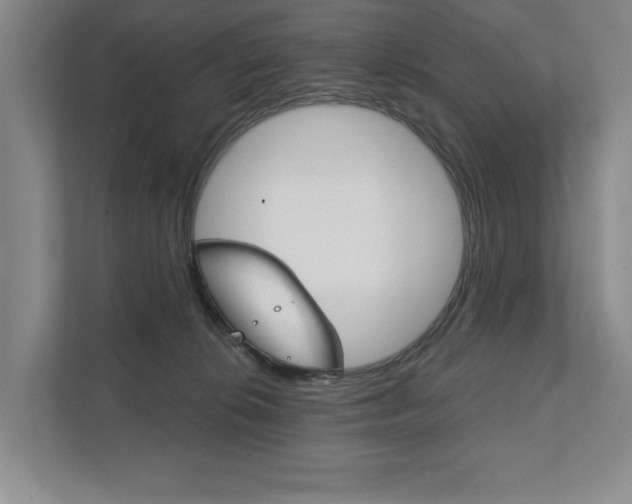 X0000111940276200907271020