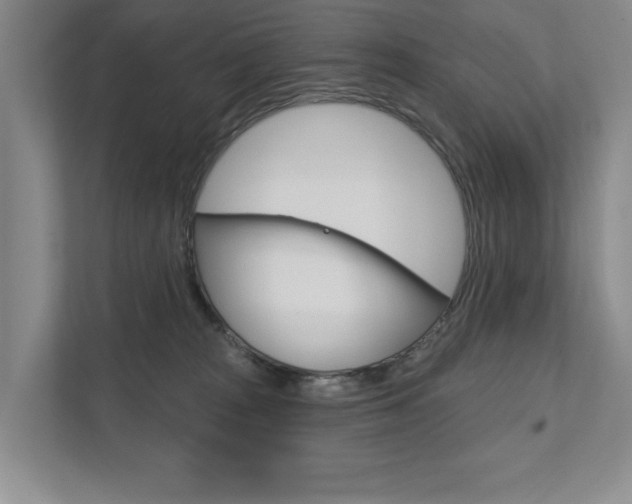 X0000111940277200907271020