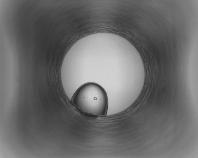 X0000111940280200907271020