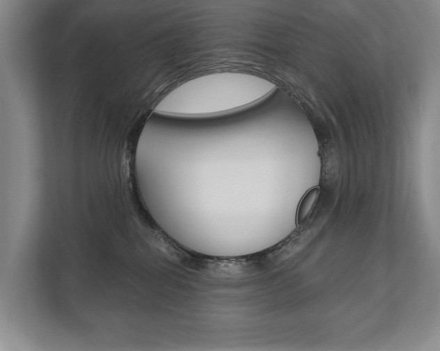 X0000111940282200907271020