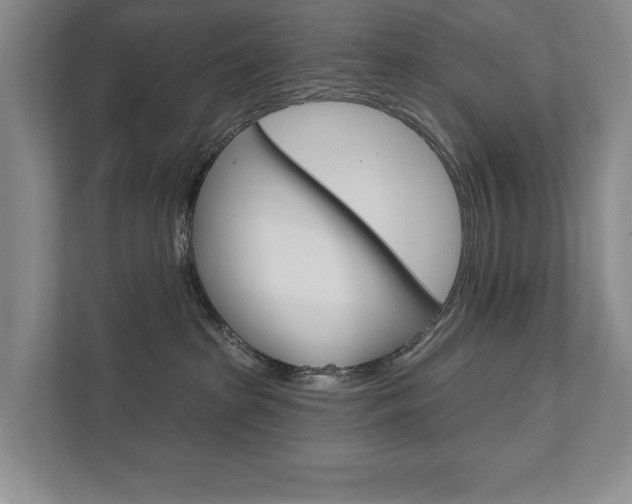 X0000111940285200907271020
