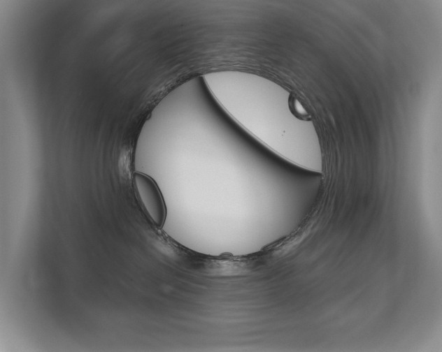 X0000111940286200907271020