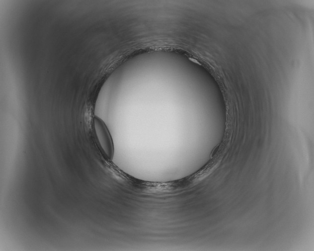 X0000111940288200907271020