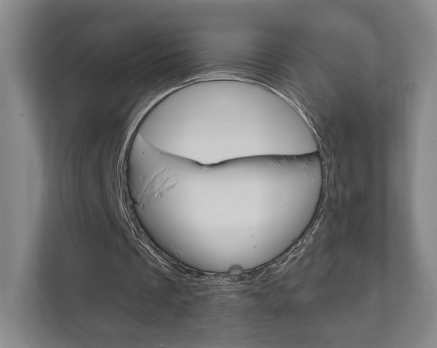 X0000111940289200907271020