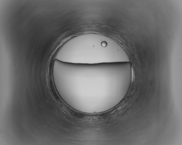 X0000111940291200907271020