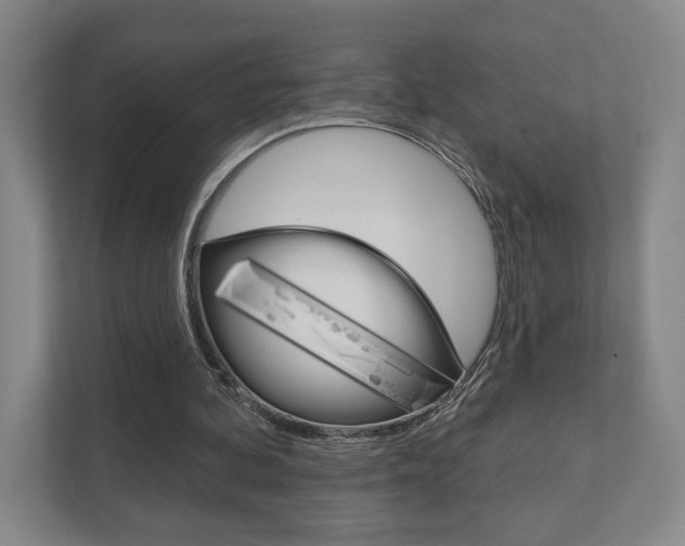 X0000111940292200907271020