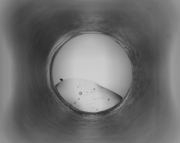 X0000111940293200907271020