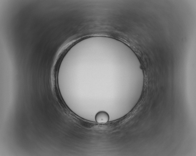 X0000111940294200907271020