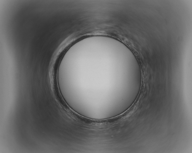 X0000111940295200907271020