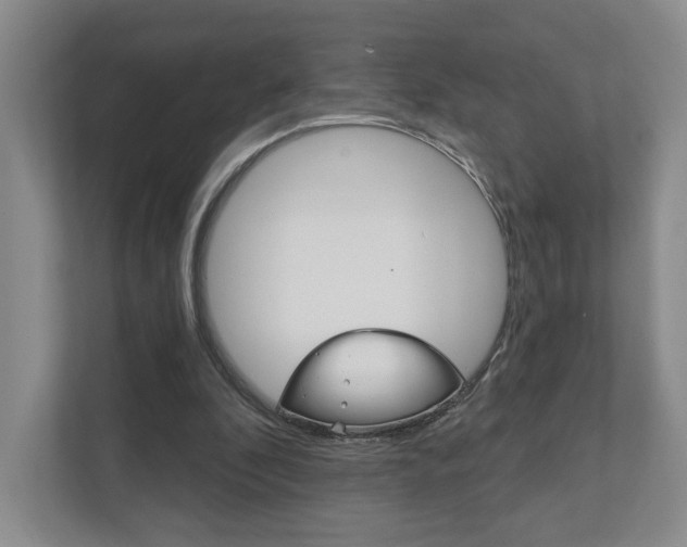 X0000111940296200907271020
