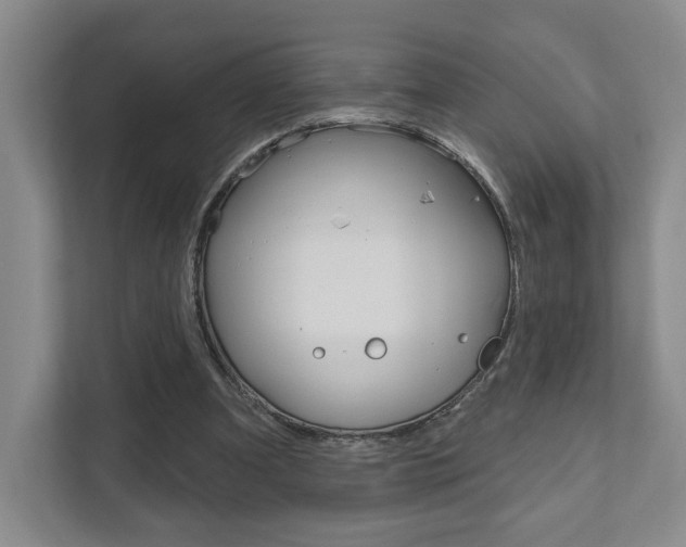 X0000111940297200907271020
