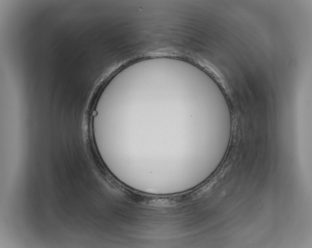 X0000111940298200907271020
