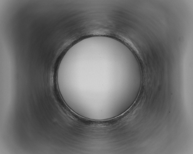 X0000111940299200907271020