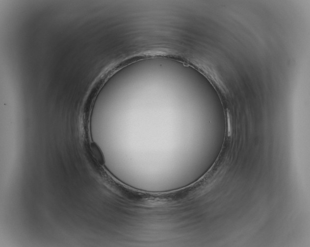 X0000111940300200907271020