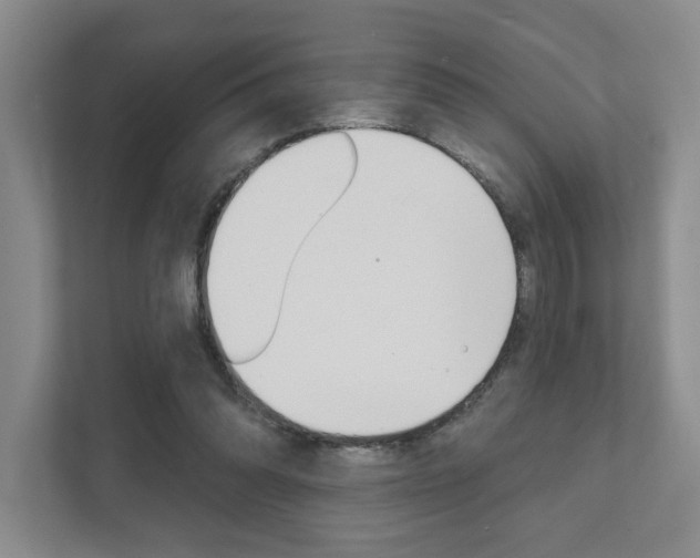 X0000111940302200907271020