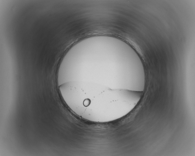 X0000111940305200907271019