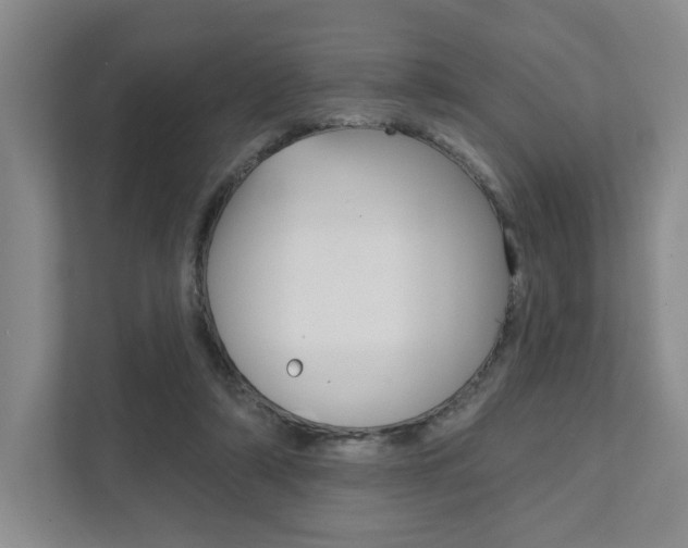 X0000111940306200907271019