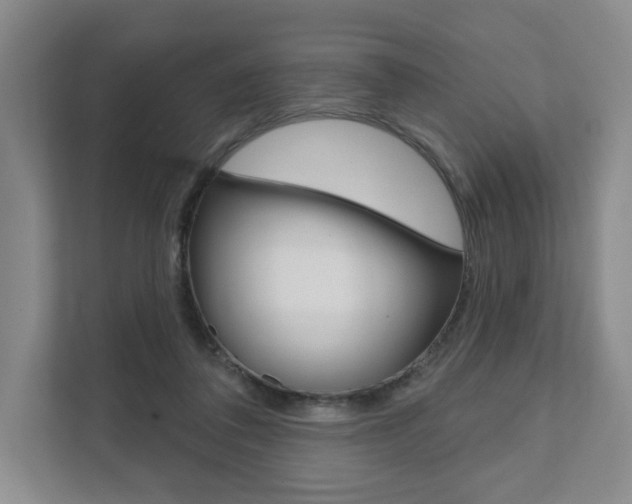 X0000111940308200907271019