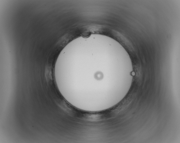 X0000111940313200907271019