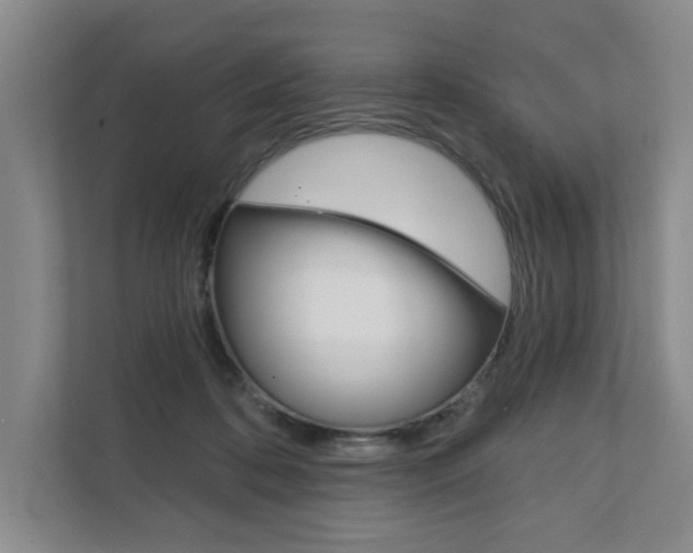X0000111940316200907271019