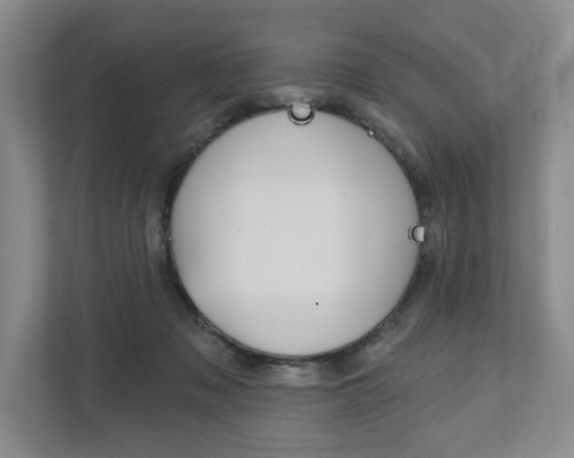 X0000111940317200907271019