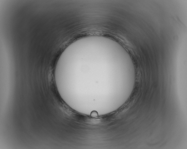 X0000111940318200907271019