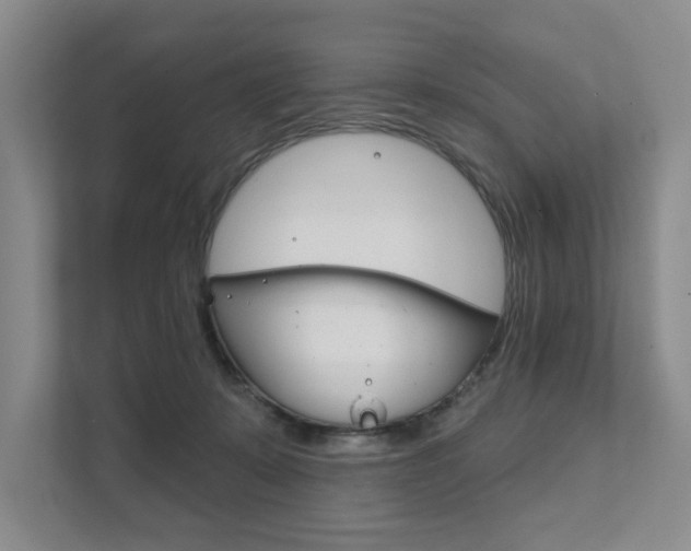 X0000111940319200907271019